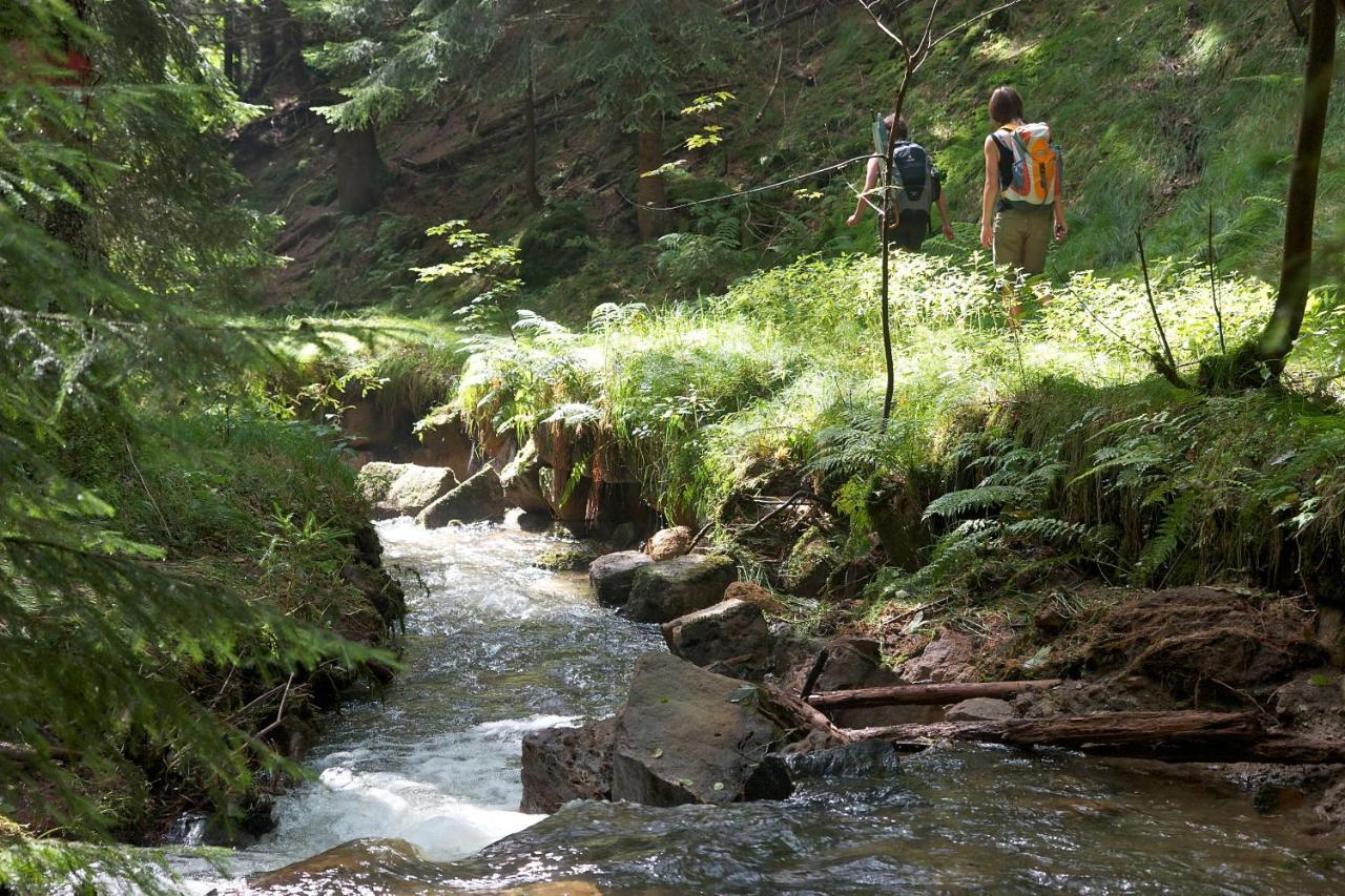 Отель Fh Am Osterbrunnen Хинтерхермсдорф Экстерьер фото